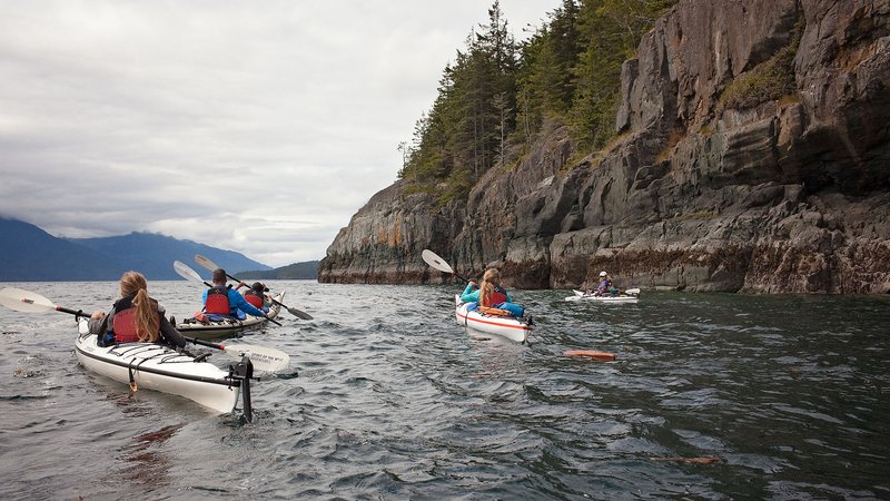 6 Day Johnstone Strait and Broughton Archipelago Expedition with Whale Watching in Canada