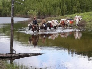5 Day Guided Horseback Adventure to the Middle Fork of Lander's in the Montana Wilderness, USA