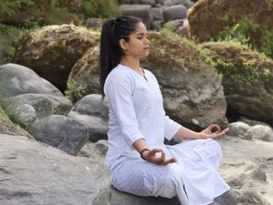 28 Day 300-Hour Advanced Intensive Yoga Teacher Training Course in Rishikesh, India