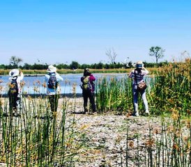 4-Daagse Okavango Delta Bootsafari in Botswana - Photo 5