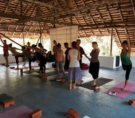 12 jours en formation de professeur de yoga hatha et ashtanga vinyasa flow avec ayurvéda à Goa, Inde - Photo 5
