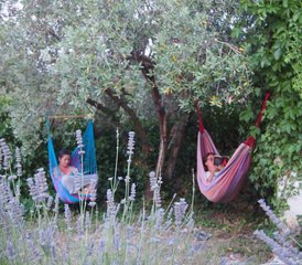 5 días de retiro de yoga en plena naturaleza en la impresionante isla de Hvar, en la costa mediterránea de Croacia - Photo 4