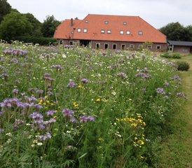 3-daagse yoga retreat in Olst, Nederland: een weekend vol rust, verbinding en bezinning - Photo 3