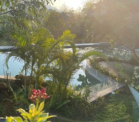 28 Tage Panchakarma Reinigung und Erholungs-Retreat in Kerala, Indien - Photo 5
