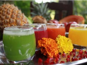 8 Day Vibrant Aliveness Immune Boost Retreat in Mandrem, Goa