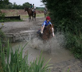 57 Day Horse Riding Holiday in Adare, Munster: Ireland’s Training and Trail Ride - Photo 1