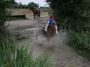 7 Day Horse Riding Holiday in Adare, Munster: Ireland’s Training and Trail Ride