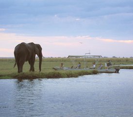 11-Tage Namibia- und Botswana Big-Five Wildnis-Camping-Safari - Photo 2
