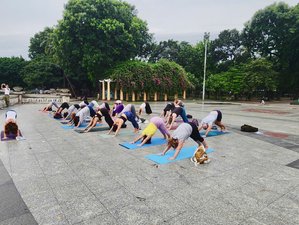 11 Day Yoga and Wellbeing Tour in Vietnam
