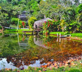 11 jours en stage de yoga, méditation et ayahuasca à Itacaré, Bahia, Brésil - Photo 4