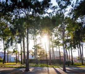 8 Day Rejuvenating Fluidity Eco Yoga Holiday at the Virgin Beach Paradise in Porto, Portugal - Photo 4