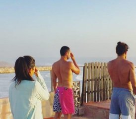 4 Tage Olive Farm Tour und Yoga-Retreat mit Rohkost/Veganer Ernährung im Haut Languedoc, Frankreich - Photo 5