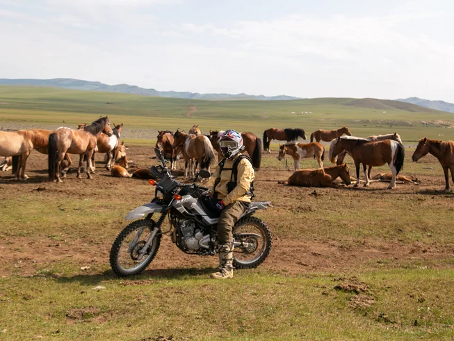 8 Day Serow Orkhon Valley Guided Motorcycle Tour in Mongolia photo 6