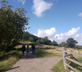 4-Daagse Sap‑, Detox‑ en Yoga‑Retraite in Upper Severn Valley, Wales, Verenigd Koninkrijk - Photo 5