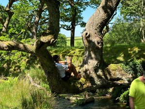 4 Day Earthing Essence: A Transformational Retreat to Reignite Your Soul in Wales, UK