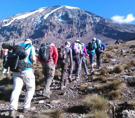 7-Daagse Kilimanjaro Beklimming De Marangu Route Safari in Tanzania - Photo 2