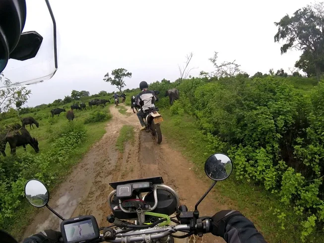 9 Day Sri Lanka Highlights Adventure Guided Loop Motorcycle Tour photo 5