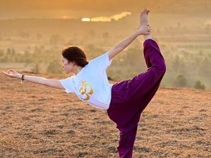 27 jours-200h en formation de professeur de yoga corps-esprit-énergie à Nashik, Inde avec guérison Reiki