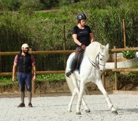 5 Day Cultural Program and Dressage Holidays in Alenquer, Lisbon, Portugal - Photo 3