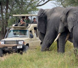 116-daagse luxe- en Big Five-safari in Tanzania in Tarangire, Serengeti en Ngorongoro met culturele tour - Photo 1