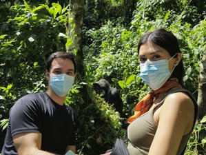 3 Day Gorillas in the Mist Trekking Safari in Bwindi National Park and Lake Bunyonyi in Uganda