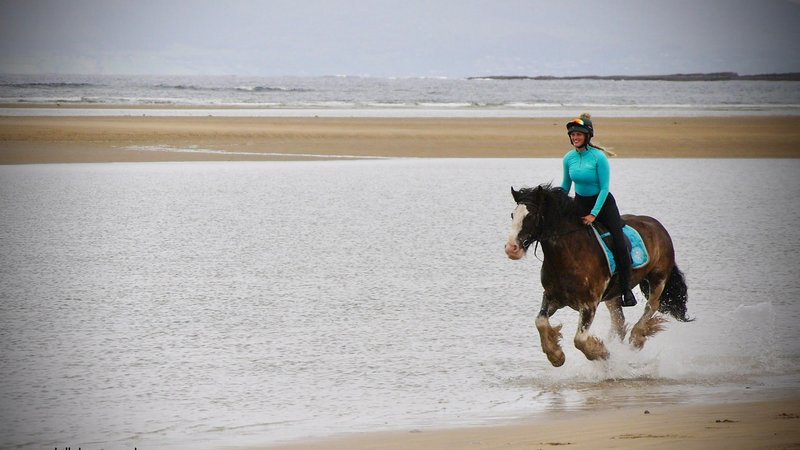 7 Day Atlantic Trail Week Horse Riding Holiday in Mullaghmore, County Sligo