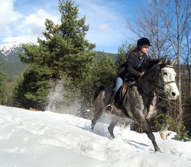 3 Day Horse Riding Vacation in Rila National Park, Bulgaria - Photo 3
