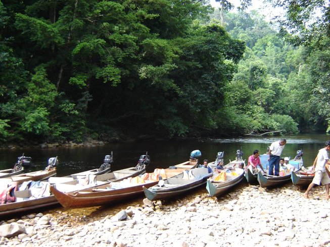 3 Day Wildlife Tour In Taman Negara Malaysia Bookallsafaris Com