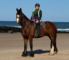 5-Daagse Op Maat Gemaakte Klassieke Paardrijavontuur aan de Causeway Kust in Ierland, Ierland - Photo 4