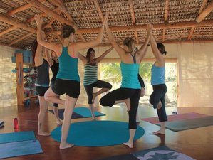 11 Tage 100-Stunden Yin und Restorative Yoga Lehrerausbildung in Baja