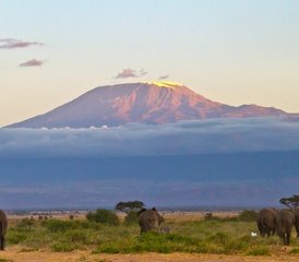 3-daagse geweldige safari-ervaring in Amboseli - Photo 5