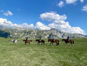 6 Day Alpine Adventure with Horses in Majestic Rila Mountain, Bulgaria