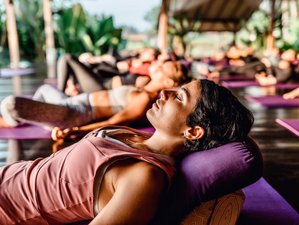 6 Tage 50-Stunden Online Yin Yogalehrer Ausbildung mit YogaUnion