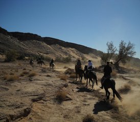 3 Day Horseback Riding Tour in Morocco - Photo 5
