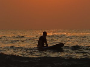 4 Tage Luxus-Surf-Einsteiger-Urlaub in Arugam Bay, Sri Lanka