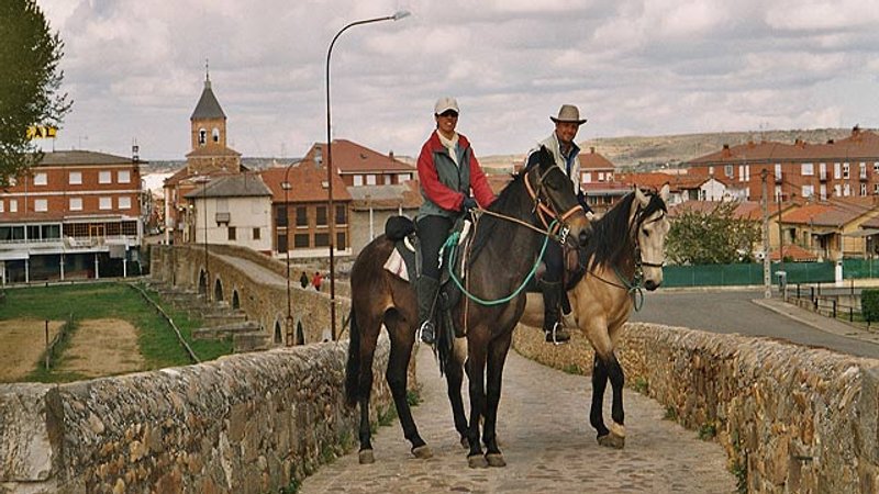 8 Day Portuguese Way Horse Riding Holiday in Portugal and Spain