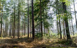 Overijssel Retreats & Trips