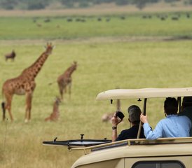 7 días de safari en Ruanda con trekking de gorilas, trekking de monos dorados y safari en vehículo por Akagera - Photo 3