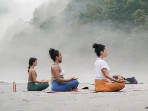 Formation authentique de professeur de yoga de 100 heures sur 11 jours dans la capitale du yoga, Rishikesh, Inde