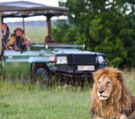 13 jours safari des grands félins au Kenya et en Tanzanie - Photo 2