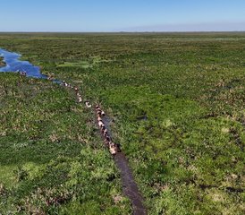 4 Day Esteros del Iberá: A Journey to the Heart of Guarani Tradition Horse Riding Tour in Argentina - Photo 4