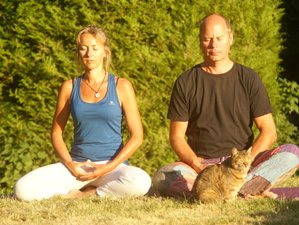 5-Daagse Stilteretreat met Meditatie en Yoga in Buirefontaine, Picardy