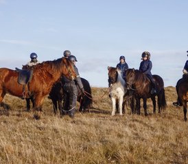 4 jours vacances équestres hivernales et aurores boréales à Selfoss, Islande - Photo 4