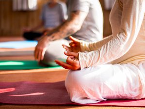 21 Day Ayurvedic Detox Retreat with Yoga and Meditation in Valiyaparamba Island, Kerala