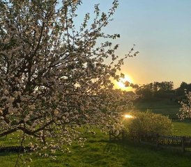 13 Day Yoga and Meditation Retreat in Västergötland, Sweden - Photo 1