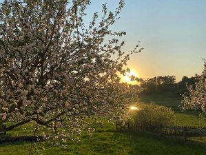3 jours en retraite de yoga et méditation à Västergötland, Suède