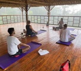 5 Tage Jungle Yoga Retreat in Khao Sok, Surat Thani, Thailand mit Tibetan Sound Bowl Healing - Photo 3