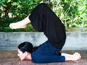  5 Day Yoga and Ayurveda Honeymoon Holiday in Kandy, Central Province