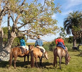 7 jours vacances équestres Los Chajá à Barra de Valizas, Rocha, Uruguay - Photo 4