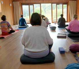 3 Jour Retraite Slow : Yoga et Bain de Forêt en Gaume, Belgique - Photo 5